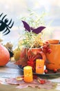 Halloween decor, a couple of cups with a drink, decorative candles, pumpkins, berries, leaves on the windowsill Royalty Free Stock Photo
