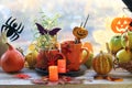 Halloween decor, a couple of cups with a drink, decorative candles, pumpkins, berries, leaves on the windowsill Royalty Free Stock Photo