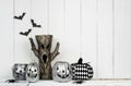 Halloween decor display with jack o lanterns and spooky tree against white wood Royalty Free Stock Photo