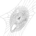 Halloween decor, net spider cobweb, hand drawn vector illustration Royalty Free Stock Photo
