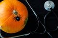 Halloween decor pumpkin with spider and stethoscope with copy space. Medical Halloween in the hospital. Trick or treat festival