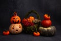 halloween decor, pumpkins, candy bowl, lantern, basket with red berries lie on a black background