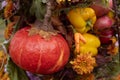 Halloween decor with various pumpkins, autumn vegetables and flowers. Harvest and garden decoration Royalty Free Stock Photo