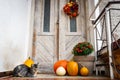 Halloween decorated front door with various size and shape pumpkins. Cat on Front Porch decorated for Halloween. Royalty Free Stock Photo