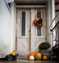 Halloween decorated front door with various size and shape pumpkins. Cat on Front Porch decorated for the Halloween.