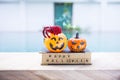Halloween decoration item on old book with red wool spider with space on blurred background Royalty Free Stock Photo
