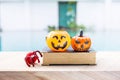 Halloween decoration item on old book with red yarn spider with space on blurred background Royalty Free Stock Photo