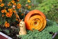 Halloween decoration made from pumpkin and squash to resemble cute snail in local garden surrounded with colorful flowers and Royalty Free Stock Photo