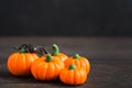 Halloween decoration with pumpkins and spider with copy space Royalty Free Stock Photo