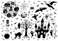 Halloween decoration set: pumpkin jack lanterns, bats, spider and cobweb, witch hat