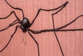 Halloween spider on a fence