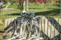 Two skeletons on swing for Halloween