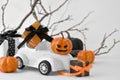 Halloween decorations background. Close up retro toy car with pumpkins, gifts over tree branches.