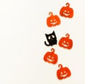 Halloween decorations concept background .pumpkin