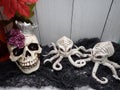 Halloween princess skull, two octopus skeletons