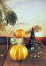 Halloween decorations, pumpkins, mortar, healing plants, witch hat and dry branches on sunset background