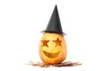 Halloween decorative pumpkin isolated on white
