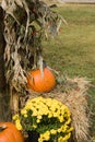 Halloween display Royalty Free Stock Photo