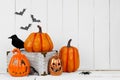 Halloween decor display with jack o lantern and pumpkins against white wood Royalty Free Stock Photo