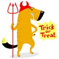 Halloween dog character in costume of devil with horns and trident Royalty Free Stock Photo