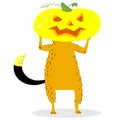 Halloween dog character with a pumpkin head. Cartoon vector illustration Royalty Free Stock Photo