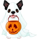 Halloween dog Royalty Free Stock Photo