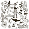 Halloween Doodle Set. Holiday Hand Drawn Vector Illustration with Pumpkins, Jack o Lantern, Skulls, Witch, Ghost, Bat, Candies, Royalty Free Stock Photo