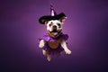 Halloween dressed dog jumping and smiling