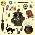 Halloween elements. Magic ball, witch with book of spells, cursed black cat, beldam and sorcery, hag or hex, potion and