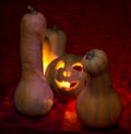 Halloween, evil pumpkin candles gloom