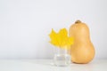 Halloween fall background with yellow maple leaf and pumpkin on the white table with copy space Royalty Free Stock Photo