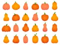 Halloween fall pumpkins. Cartoon traditional decoration, holiday orange pumpkin, october Halloween harvest isolated
