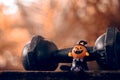 Halloween festival Close up of Halloween head Pumpkins doll and Royalty Free Stock Photo