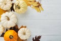 Halloween festive autumn background. Autumn decor from pumpkins, berries, maple leaves and chestnuts on old rustic white wooden ba Royalty Free Stock Photo