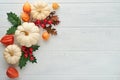 Halloween festive autumn background. Autumn decor from pumpkins, berries, maple leaves and chestnuts on old rustic white wooden Royalty Free Stock Photo