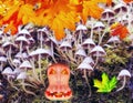 Halloween pumpkin among colony of small mushrooms growing on old dead tree with green moss in autumn