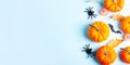 Halloween flat lay background Royalty Free Stock Photo