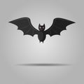 Halloween flying bat on gray background. vampire bat
