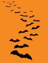 Halloween flying bats orange background