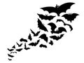 Halloween flying swarm bats, horror silhouette scary graphic. Animal vampires, isolated black gothic creepy creature