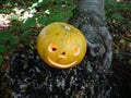 Halloween in forest