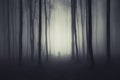 Halloween forest with man Royalty Free Stock Photo