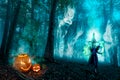 Halloween Forest Spirits And Witch Royalty Free Stock Photo