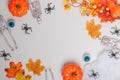 Halloween frame. Skeletons pumpkin spiders autumn leaves on a white gray background