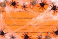 Halloween frame with skeletons and spider webs on orange wood