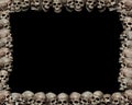 Skull frame
