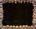 Skull frame