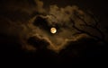 Halloween full moon amidst gloomy clouds and leafless tree branches creating a spooky and mysterious atmosphere