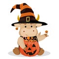 Halloween. Funny bull and pumpkin. Vector illustration. Isolated on a white background Royalty Free Stock Photo
