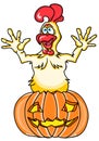 Halloween funny cartoon rooster jumping out of a pumpkin from a pumpkin on a white background.